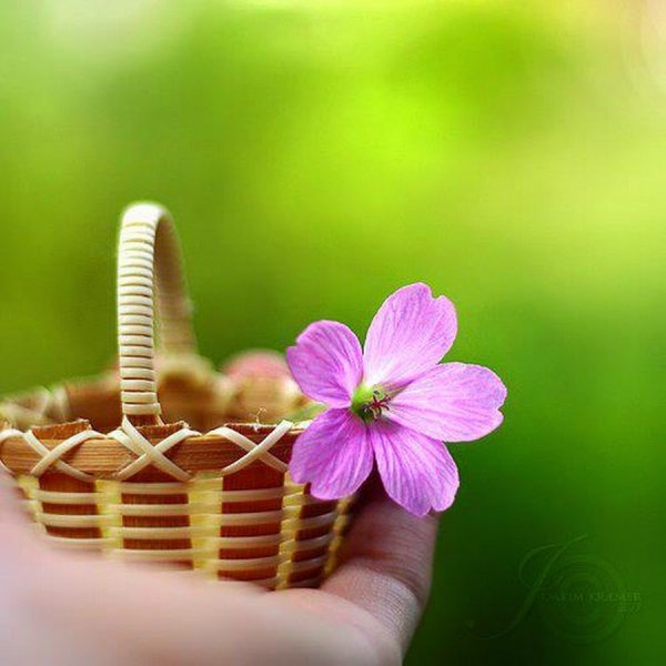 Прекрасной пятницы