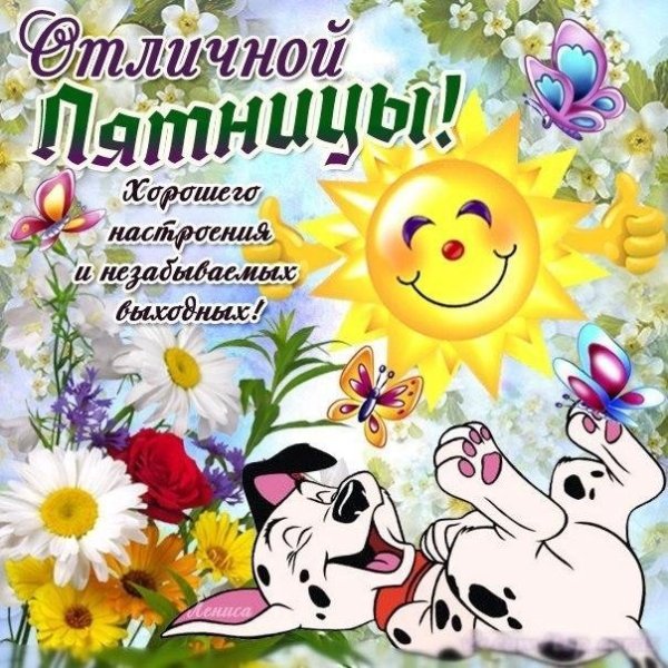 Открытки с пожеланиями хорошего дня