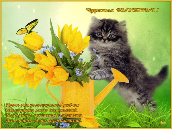 Поздравление с пятницей