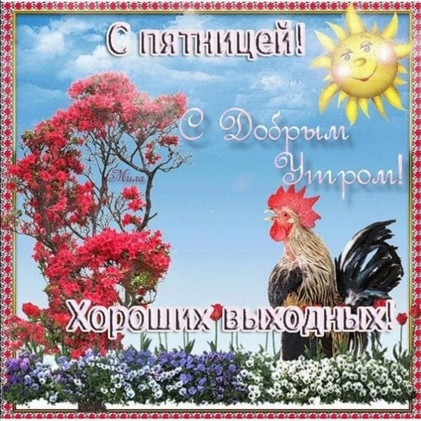 Прекрасной пятницы