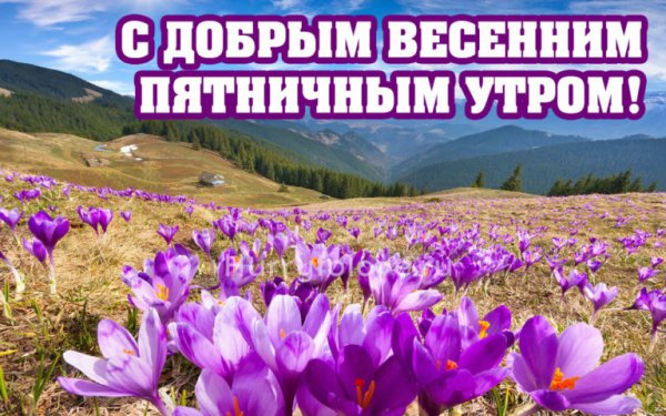 Доброе летнее утро пятницы