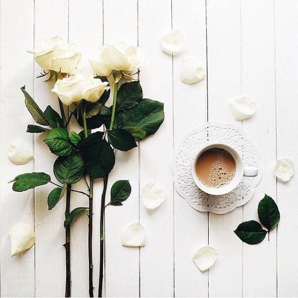 Вадим Трунов весенние белочки