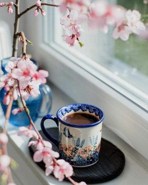 Дождливое Весеннее утро