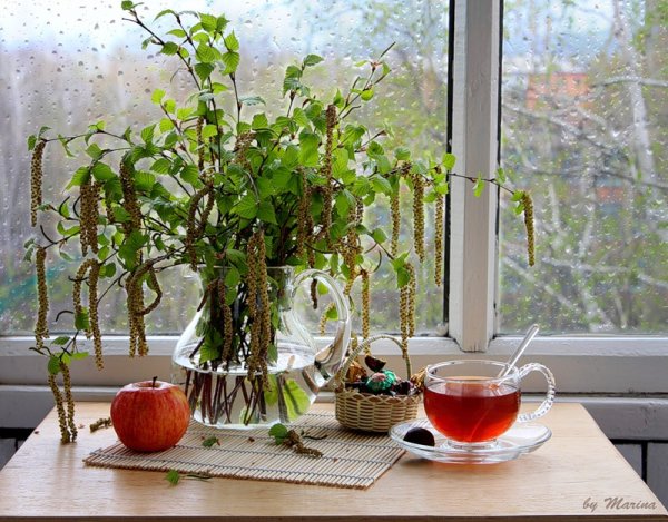 Весенний дождик