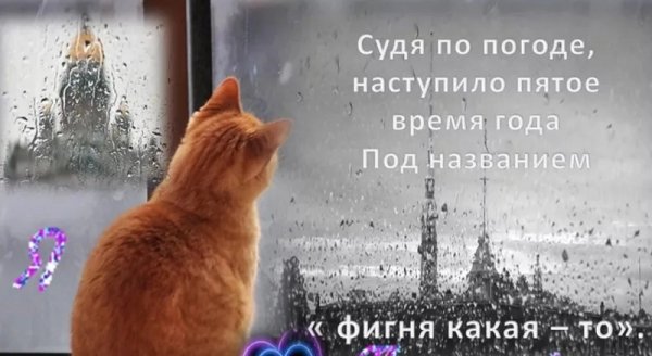 Доброе дождливое утро