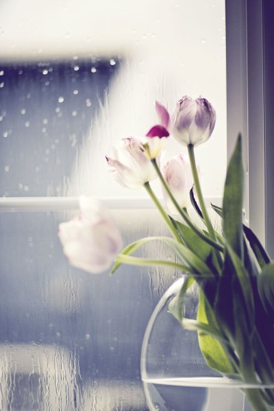 Природа дождь