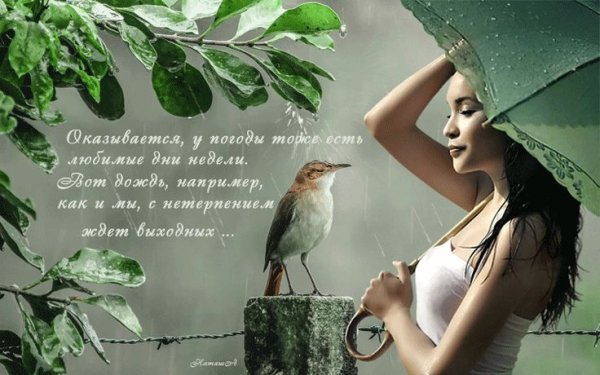 Доброе утро за окном снег с дождем