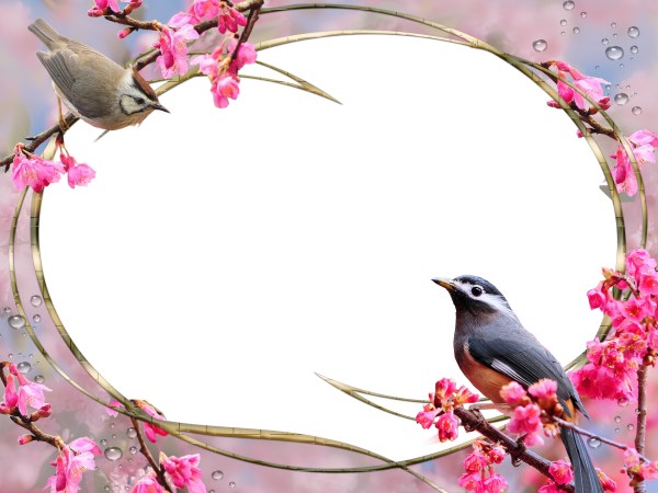 Рамка с птичками