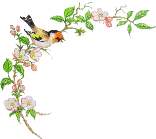 Рамка с птичками