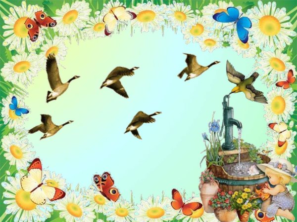 Фон на тему птицы
