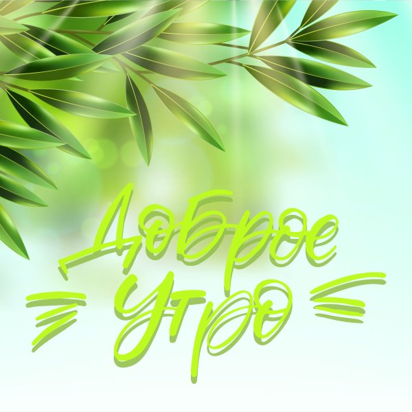 Доброе утро Весна