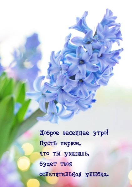 С добрым весенним утром