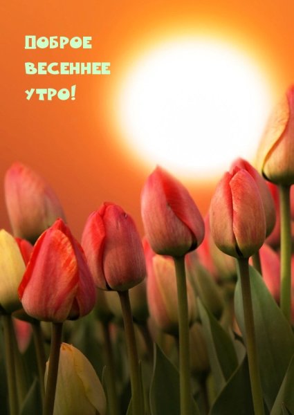 С добрым утром Весна