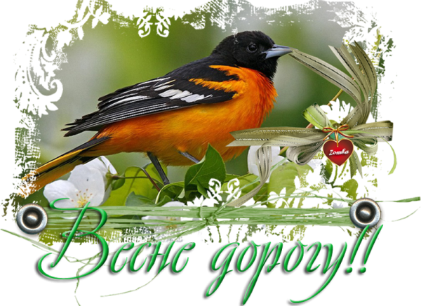 Весна пришла девушка