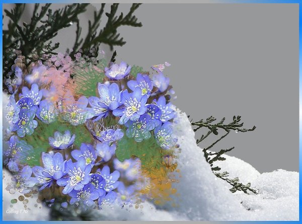 Зима недаром злится