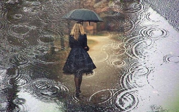 Зонт под дождем