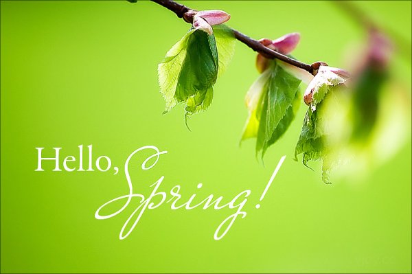 Доброе утро Весна