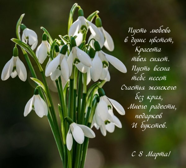 Поздравление с первым днем весны