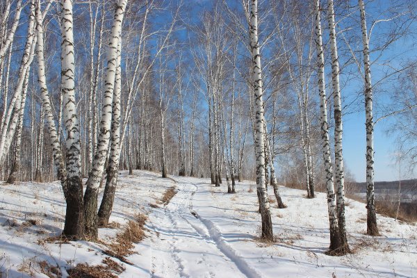 Сибирь весной