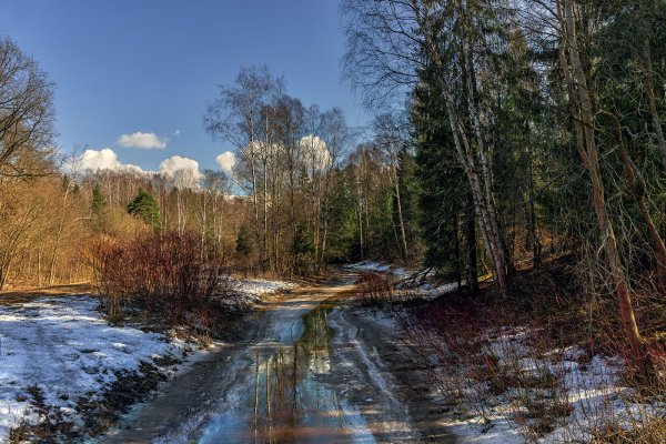 Ранняя Весна дорога