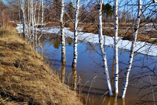 Река берёза Тверская область