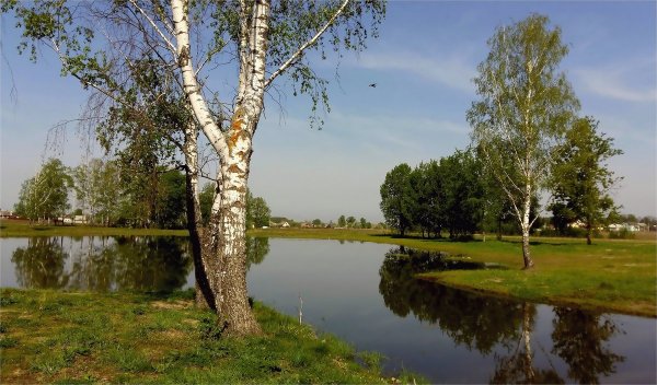 Березовые Рощи на Алтае