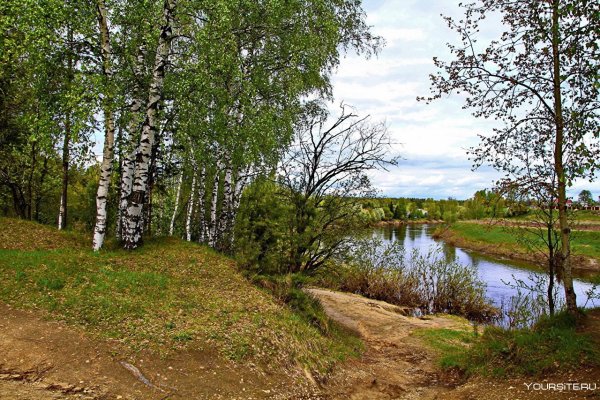 Игорь Прищепа Березовая роща