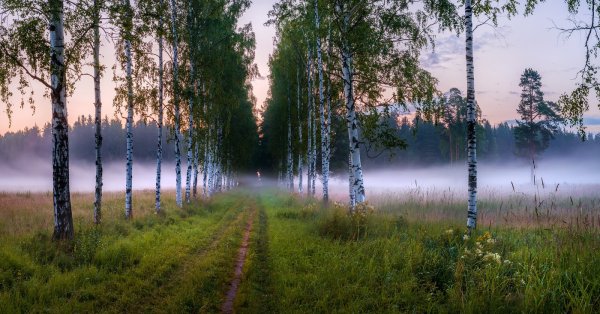 Река Березка Московская область