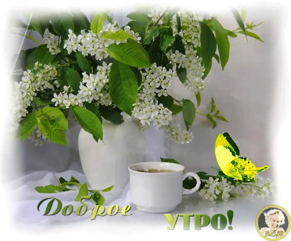Доброе Весеннее Майское утро