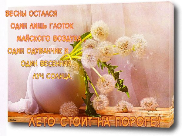 Доброе Майское утро
