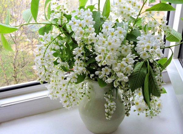 Летний день