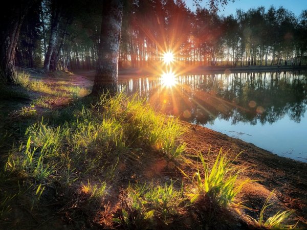 Утро природа