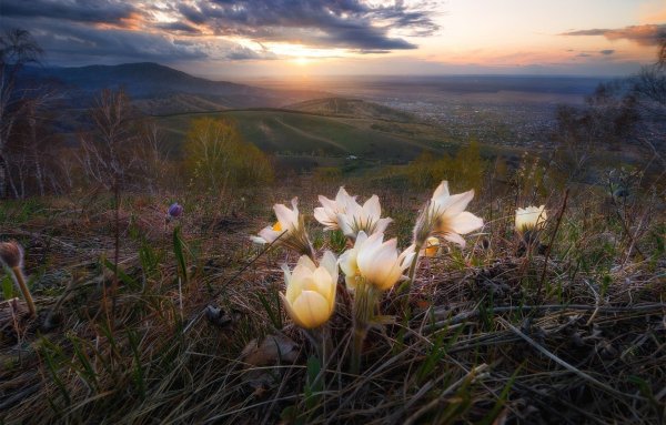 Утро ранней весны