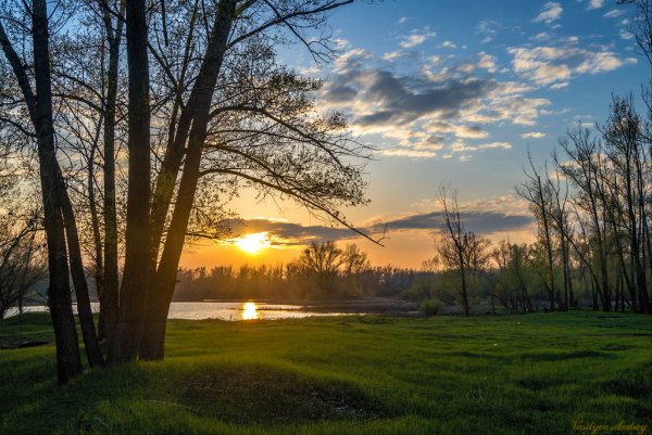 Весна солнце река