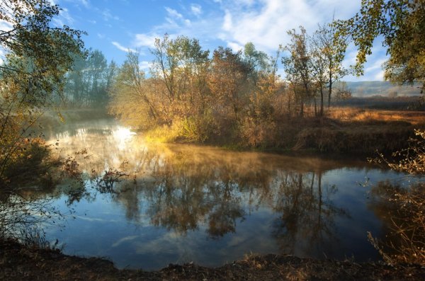 Апрельская природа