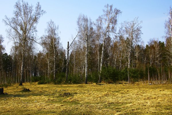 Поздняя Весна