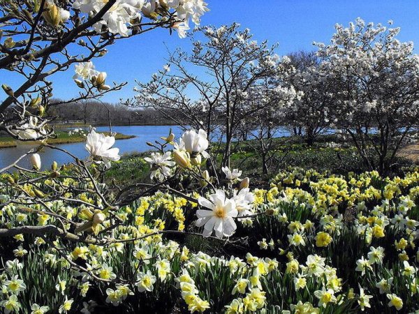Весенний пейзаж в мае