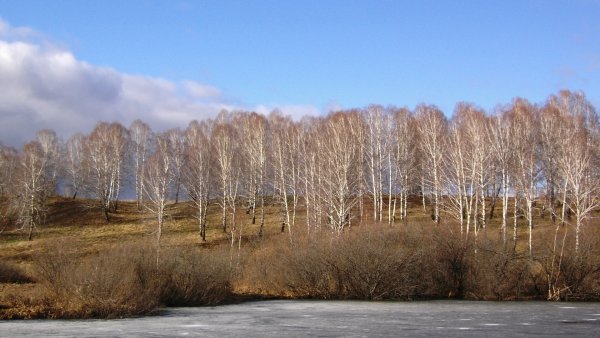 Деревня весной фото