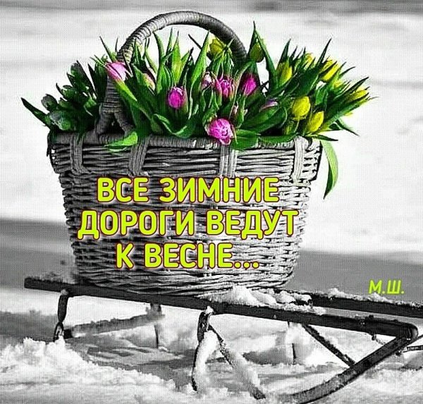 Первые цветы весны