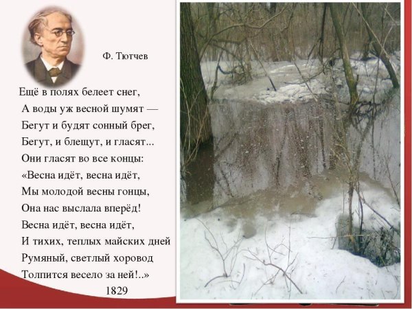 Стих Тютчева зима недаром злится