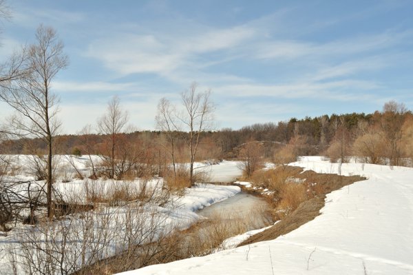 Весенняя рапсодия Шопена