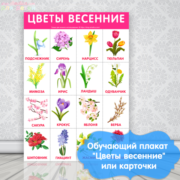 Обучающие плакаты для детского сада
