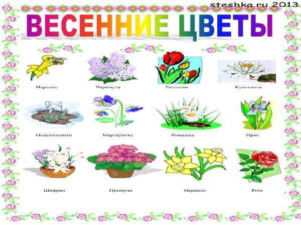 Весенние цветы с названиями для детей
