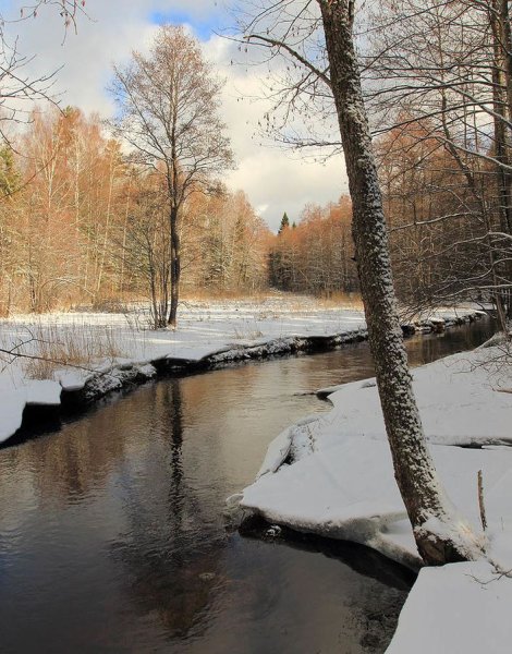 Весна природа