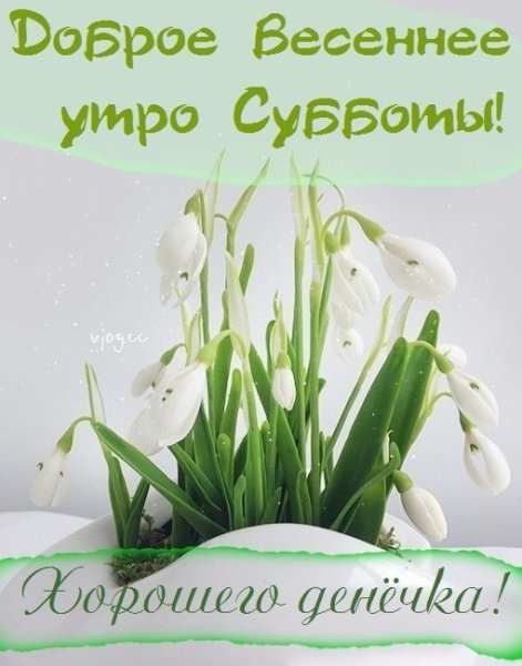 Добрых выходных и весеннего настроения