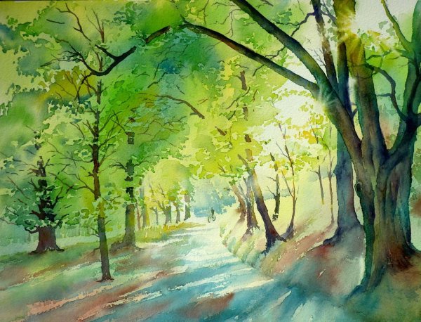 Липовая аллея акварель
