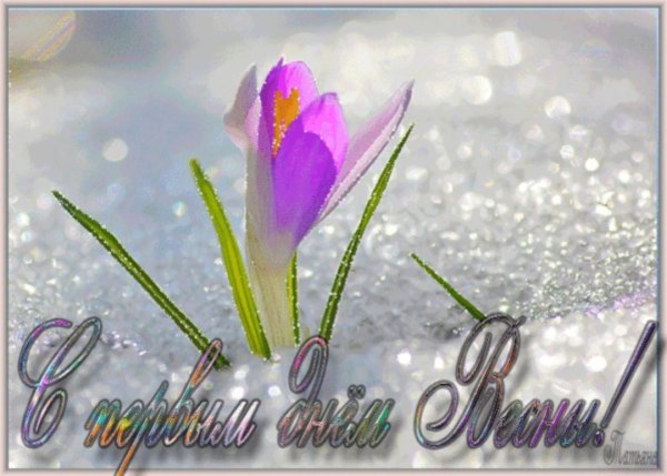 Весенние пожелания