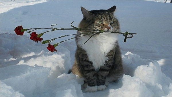 До весны осталось