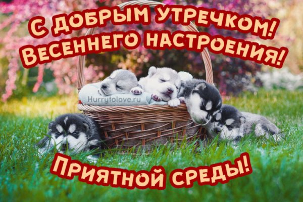 Доброй среды Весна