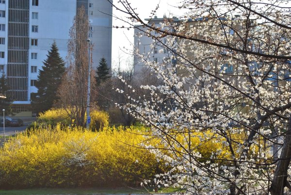 Весна в городе